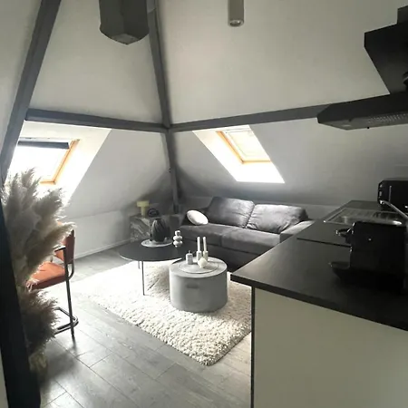Cozy And In Apartment *