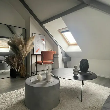 Cozy And In Apartment Rouen